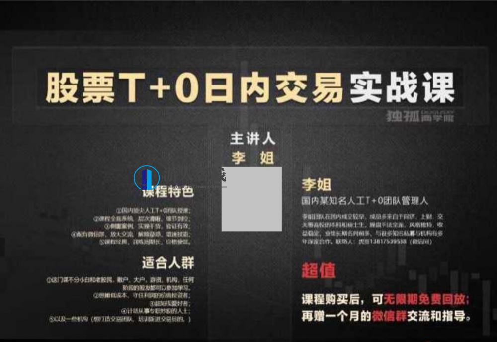股票T+0日内交易入门]培训,第1张
