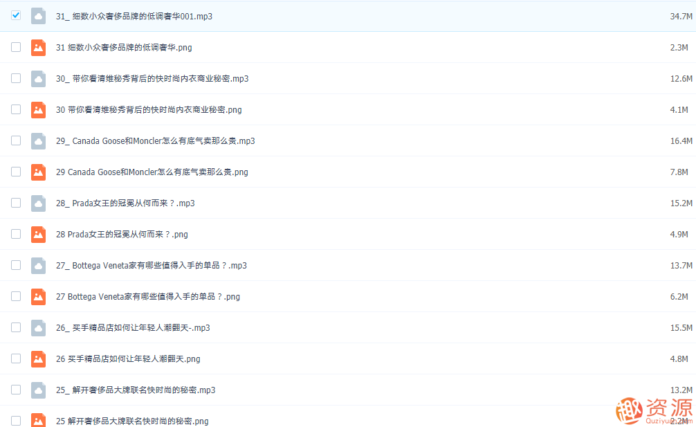 奢侈品牌普及大全，奢华之选，顶级品牌全解析与选购指南,第5张