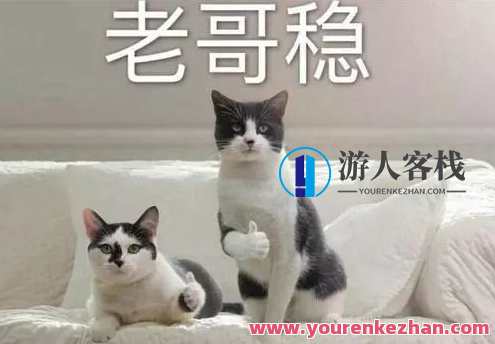 高效学习神器：千呼万唤的Anki教程！Anki学习宝典，快速掌握精华