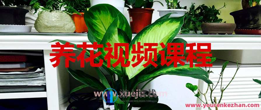 养花视频课程：轻松掌握园艺技巧，园艺技巧进阶，养花视频课程助你轻松掌握技巧,课程,第1张