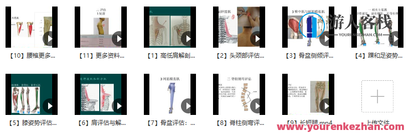 郑大解剖学人体姿势评估与解剖学分析（进阶）郑大解剖学进阶姿势评估与解剖学深度解析,第2张