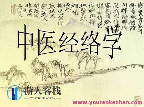 中医人必学的经络课，中医经络学习新篇章，深入经络，掌握健康之道,第1张