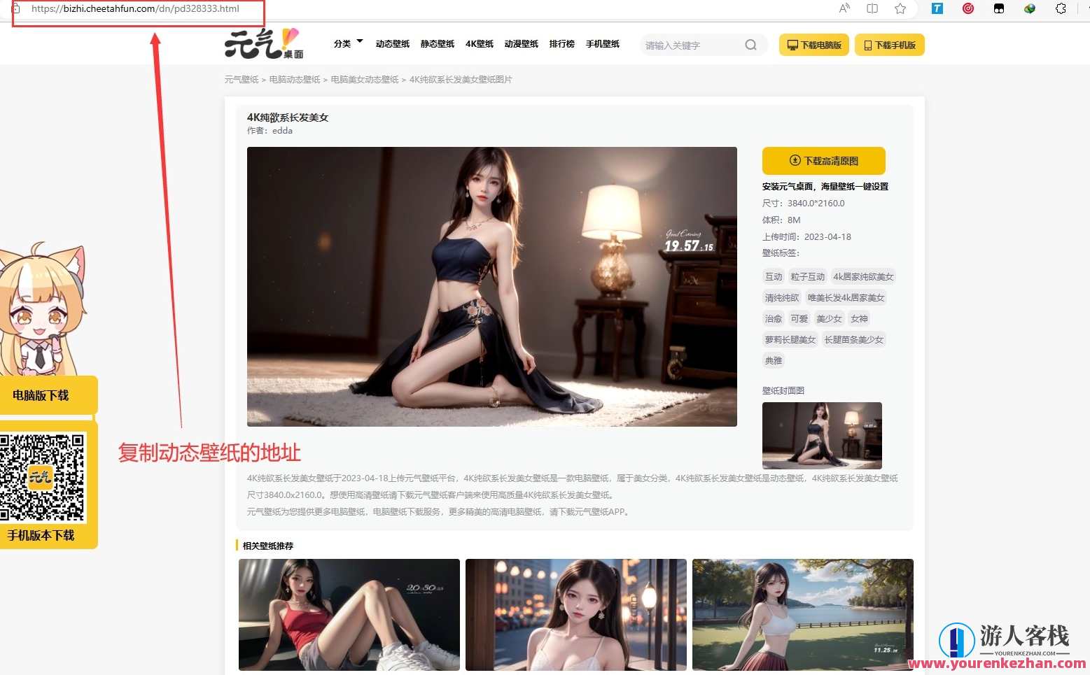 元气动态壁纸在线下载PHP源码，动态壁纸源码开发与优化，元气PHP框架展示