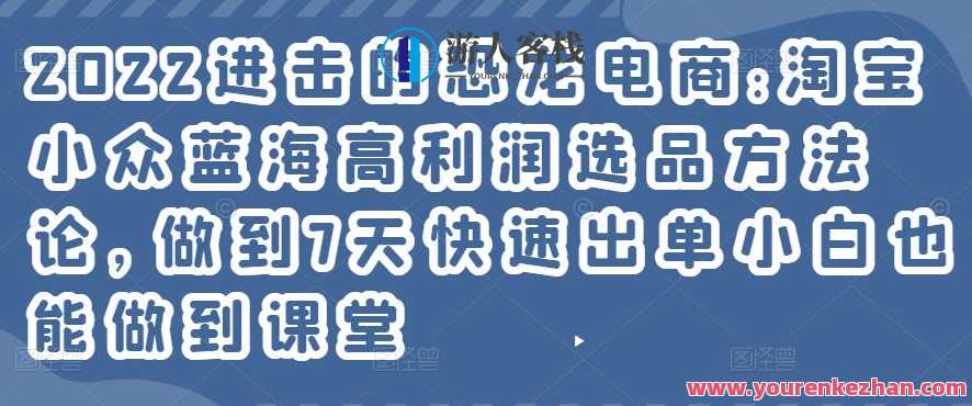 2022进击的恐龙电商:淘宝小众蓝海高利润选品方法论，新纪元恐龙电商秘籍，淘宝小众蓝海高利润选品策略,课程,定位,电商,竞争,电子商务,第1张