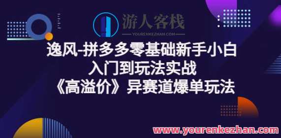 逸风-拼多多零基础新手小白入门到玩法实战《高溢价》异赛道爆单玩法实操课，拼多多新手入门实战课，逸风-高溢价异赛道爆单玩法