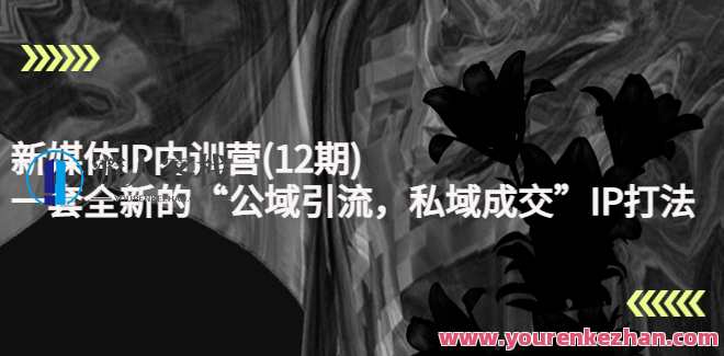 新媒体IP内训营(12期) 百度云盘分享，新媒体精英成长营，12期云端集结,课程,直播,影视,定位,第1张