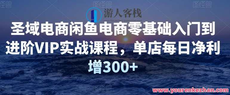 【圣域电商】闲鱼电商零基础入门到升阶VIP实战演练课程内容 百度搜索云盘分享，圣域电商，电商零基础实战演练课程,课程,影视,定位,电商,团队,第1张