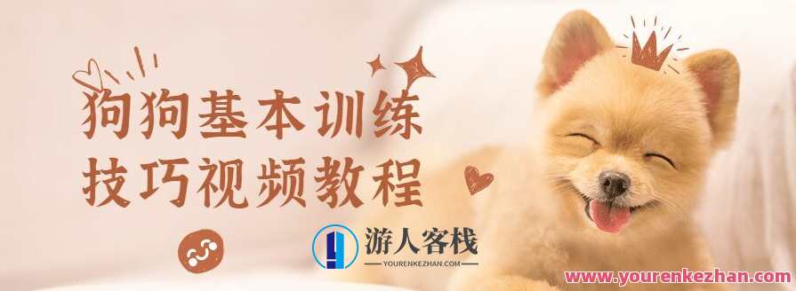 狗狗基本训练方法视频教学，狗狗训练秘籍，视频教学全解析,课程,学习,第1张