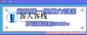 微信搜一搜引流全主题课程，日引精准粉500+（8节课）微信引流全攻略，日聚精准学员500+ 8节课速成课程,课程,影视,微信,发展,竞争,搜索引擎优化,第1张