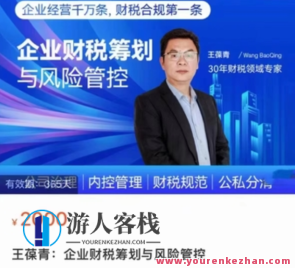 王葆青：公司财税筹划与风险管控百度云盘分享，王葆青分享公司财税筹划与风险管控百度云盘资料，助您高效运营,课程,影视,管理,营销策略,第1张