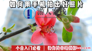 花卉摄影教程百度云盘分享，花卉摄影秘籍，百度云盘实时分享