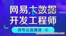 网易云音乐微专业-大数据工程师技术工程师-使用价值14500元，网易云音乐微专业大数据工程师技术工程师，深度探索大数据价值，助力技术升级,课程,管理,专业,第1张