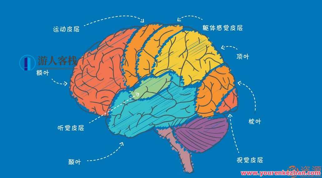 20个心理学颠覆实验，心理学颠覆实验集锦，揭示新认知，引领未来探索,第1张