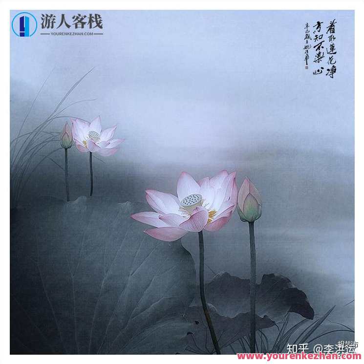 18度摄影学院-禅意荷花，18度摄影学院，荷花禅意摄影学院