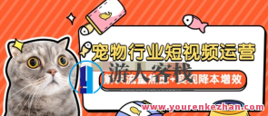 宠物/行业短视频运营流量增长，解决流量焦虑+实现降本增效百度云盘分享，宠物行业短视频运营流量增长秘笈