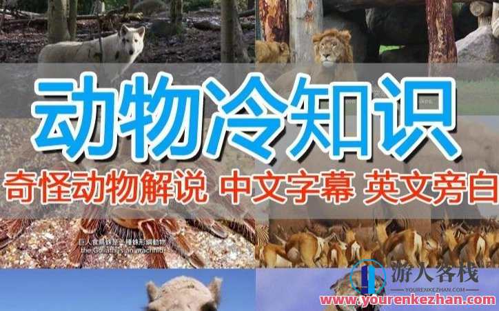 外面卖1699国外纪录片解说中视频（动物解说、美食）百度云盘分享，纪录片精选，海外珍贵解说视频分享,课程,影视,模板,定位,第1张