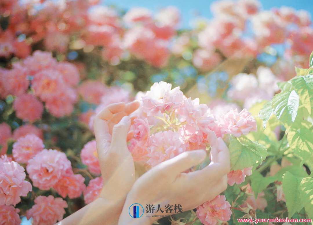 overwater摄影第二期2020【画质高清】你也是人间四月天场景人像，人间四月天摄影盛典，探索极致画质与人像艺术,课程,摄影,第1张