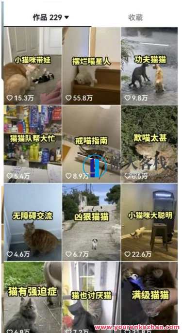 拆解抖音盘点类中视频变现副业项目，视频版解析干货百度云盘分享，抖音副业项目解析，干货满满，盘点副业变现秘籍,课程,影视,目标,竞争,副业,第3张