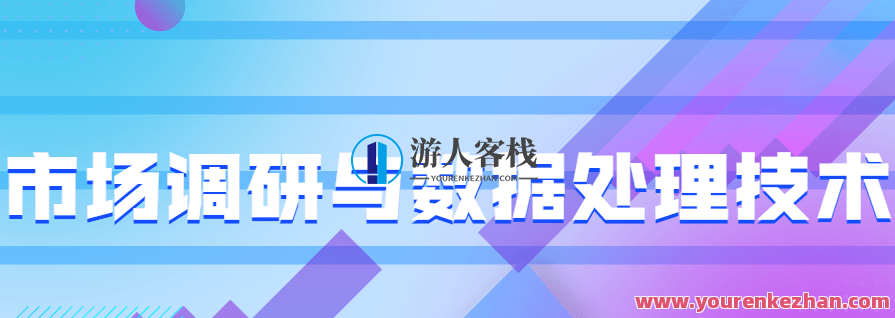 市场调研与数据处理技术，市场洞察与数据驱动革新