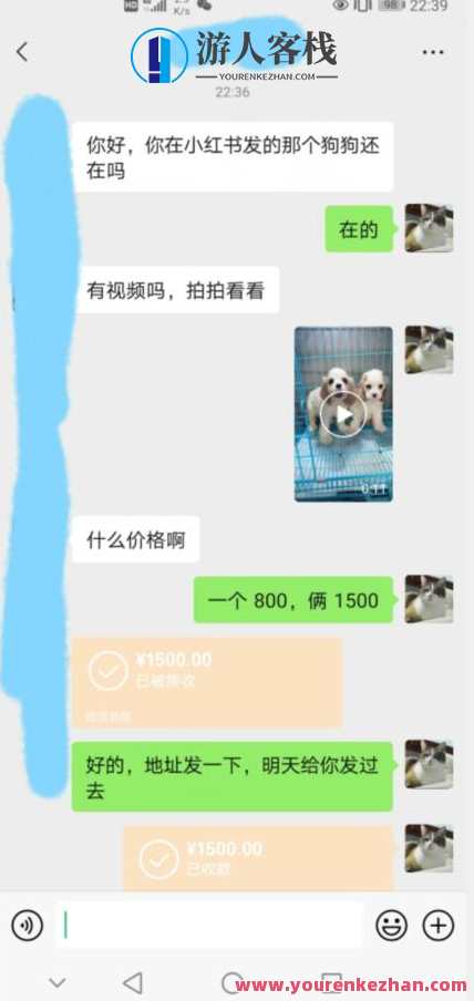 收费3980同城萌宠项目百度云盘分享，萌宠项目百度云盘分享，专业指导，快速盈利,课程,影视,健康,第2张