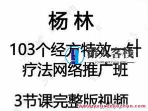 杨林103个经方特效一针疗法百度云盘分享，杨林经方特效一针疗法百度云盘分享秘笈,课程,影视,第1张