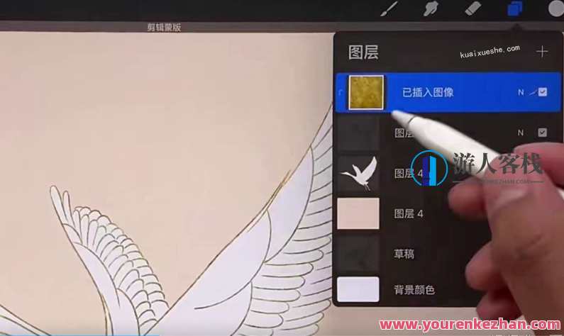 Procreate绘画课百度云分享，Procreate绘画课百度云分享，创意无限，绘画之旅等你来,学习,微信,理解,艺术,支持,视频制作,第1张