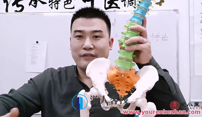 陈路-无痛正骨 五天特训营,正骨特训营,陈路五天实战训练,课程,直播,第1张 陈路-无痛正骨 五天特训营,正骨特训营,陈路五天实战训练,课程,直播,第1张