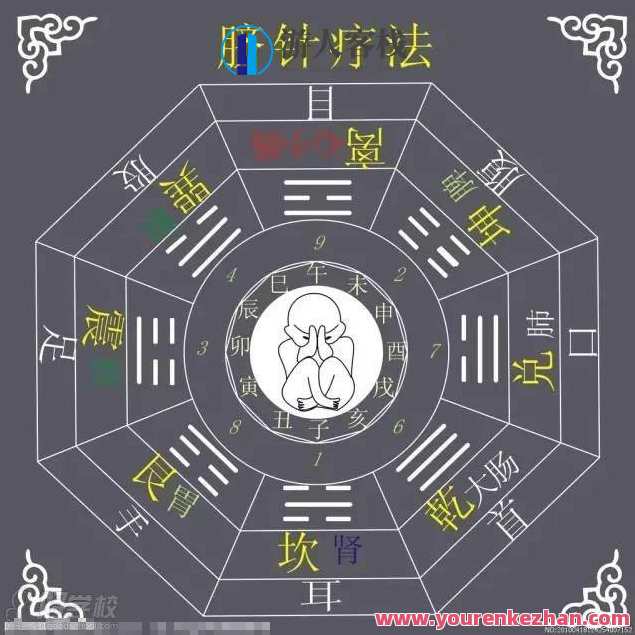 脐针简单无痛 根据肚脐眼看身体素质，解读各种脐形，脐形解码，轻松无痛，根据肚脐看健康状态,课程,营养,第1张