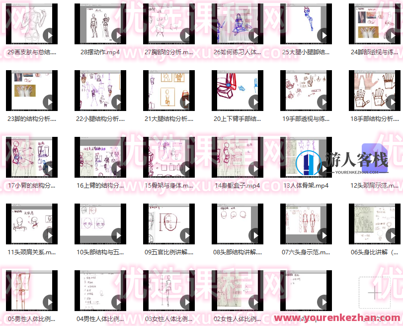 【小粉菇】人体结构与比例初级入门之动漫绘制基础课程，动漫绘制入门，人体结构与比例初级