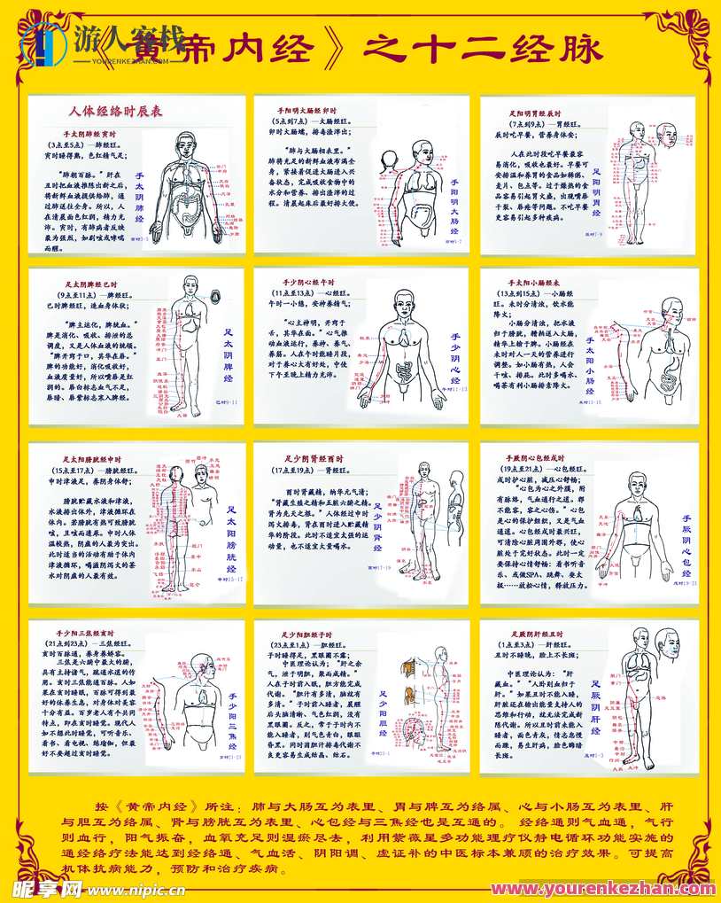 杨旭·内经脉法，杨旭·内通脉道,课程,第1张