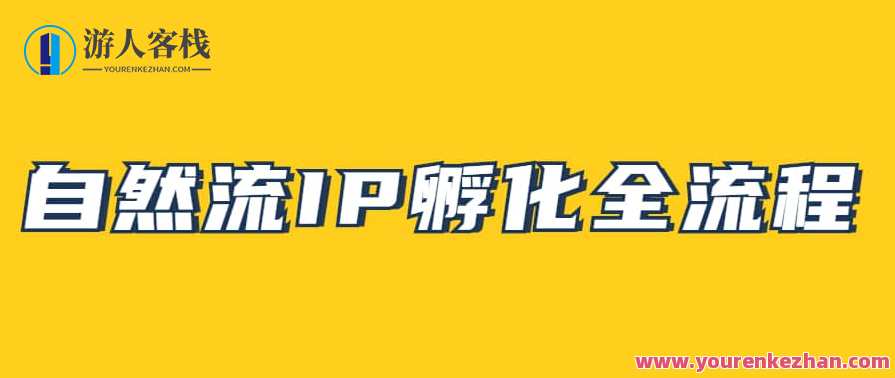自然流IP孵化，系统掌握IP孵化全流程，自然流IP孵化秘籍，系统化掌握IP孵化全流程,课程,学习,定位,竞争,第1张