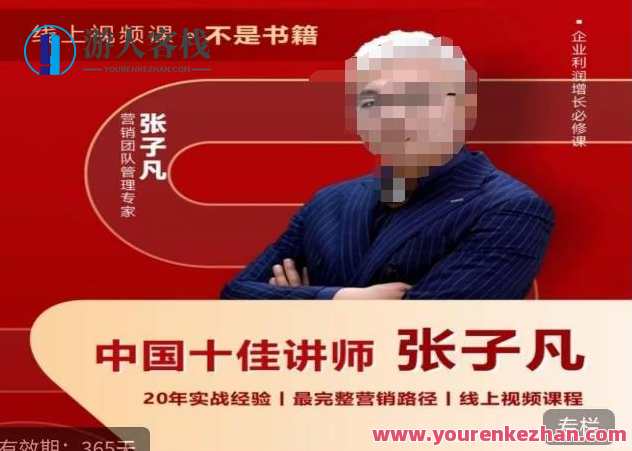 张子凡·20年实战经验 揭秘营销背后的底层逻辑，张子凡营销秘籍，揭秘20年实战经验，探求营销底层逻辑