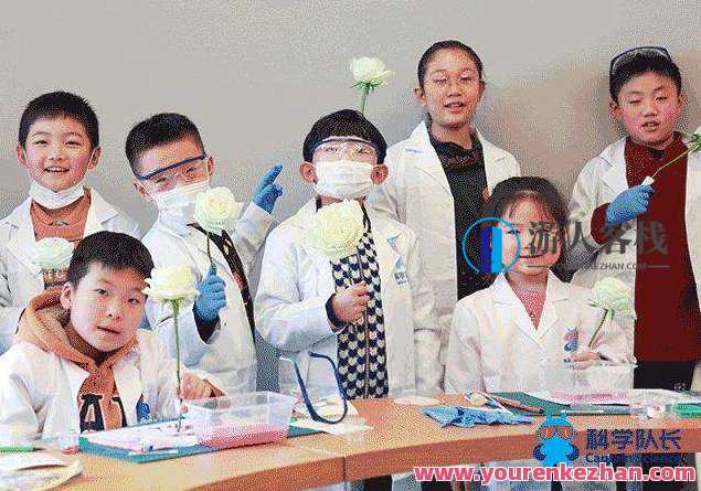 科学队长·孩子耳边的科学家，探索未来·孩子身边的科学队长,课程,发展,艺术,运动,蜘蛛,第1张