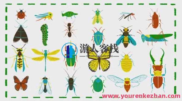 Awesome Nature:了不起的自然科普系列动画百度云盘分享，自然科普大赏，精彩动画集，百度云分享,课程,第1张