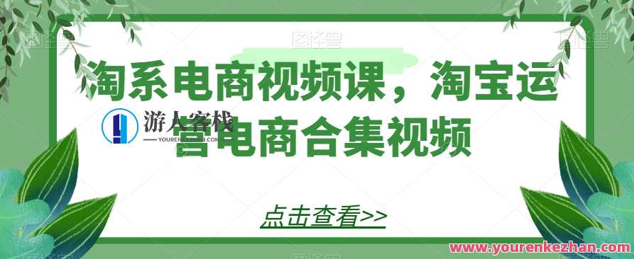 淘系电商视频课，淘宝运营电商合集视频百度云盘分享，淘宝运营电商合集，秘籍速成，视频课程分享,课程,发展,电商,竞争,电子商务,流量获取,第1张