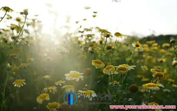 微醺十月摄影班2022年2月结课 百度云盘分享，十月摄影盛典，结课分享,学习,微信,支持,支付,摄影,沟通,第1张