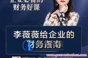 李薇薇给企业的财务指南-老板财务总监必看百度云盘分享，老板财务总监必备，李薇薇财务指南分享,管理,金融,课程,第1张