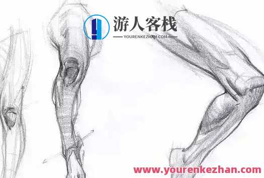 大木画画2022人体结构第五期 百度云盘分享，大木画画2022人体结构第五期 分享，在线绘画教程,课程,影视,直播,专业,第1张