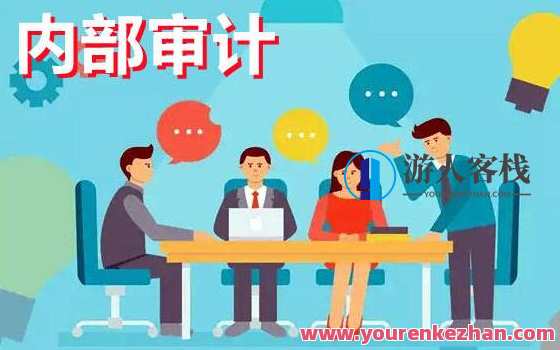 《企业内部审计讲解》视频百度云盘分享，企业内部审计深度解析，视频分享,课程,管理,风险管理,第1张