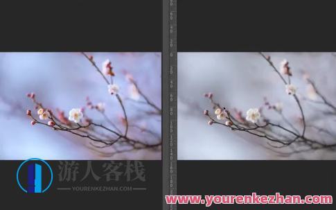 葛宏军老师主讲梅花四摄，梅花摄影技巧与后期百度云盘分享，梅花四摄秘籍，葛宏军老师云端分享摄影技巧,课程,影视,艺术,摄影,第1张