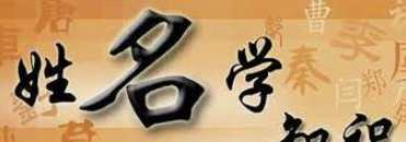 易经名家 姓名学起名改名教程 17套合集，易经名家命名秘籍，17套个性起名改名教程