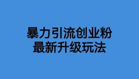 价值1980一千个野路子暴力引流最新升级玩法【揭秘】野路子引流秘籍，价值1980千亿升级玩法揭秘,课程,第1张