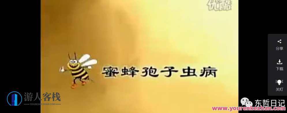 东哲日记：全网首创实物虚拟电商项目，速来捡钱，成本低，一单赚几十块！东哲电商奇迹，低成本高回报，实物虚拟电商项目火热来袭,学习,电商,电子商务,中医,第4张
