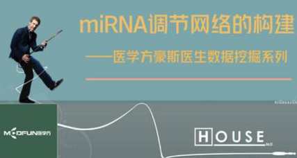 数据挖掘―miRNA调节网络的构建百度云盘分享，数据挖掘揭秘，miRNA调控网络构建百度云分享,课程,学习,专业,第1张