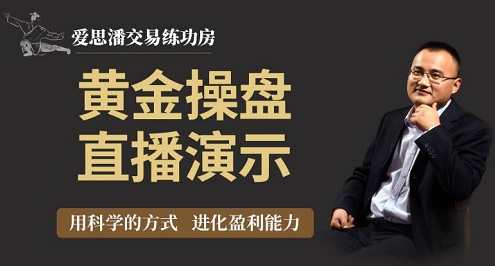 【爱思潘】《爱思潘交易练功房-黄金操盘规则直播录像》爱思潘交易秘籍，黄金操盘规则直播实录,课程,直播,第1张