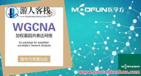 豪斯医生数据挖掘之WGCNA详解百度云盘分享,WGCNA百度云盘分享,豪斯医生数据挖掘深度解析,课程,理解,第1张 豪斯医生数据挖掘之WGCNA详解百度云盘分享,WGCNA百度云盘分享,豪斯医生数据挖掘深度解析,课程,理解,第1张