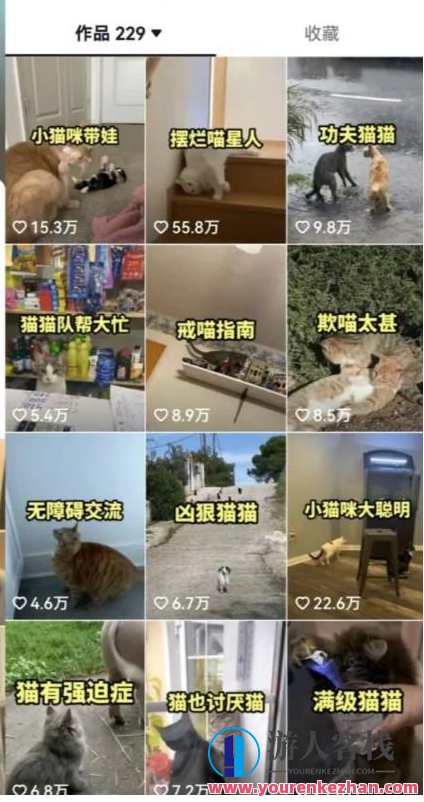 拆解：抖音盘点类中视频变现副业项目，视频版一条龙大解析分享给你，抖音副业项目揭秘，视频变现新篇章，一站式解析与分享,课程,竞争,副业,第3张