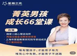白大姐菁英男孩成长在线视频课66堂，白领精英男孩成长在线直播课,课程,学习,发展,艺术,支持,竞争,运动,成长,恋爱,男人,第1张