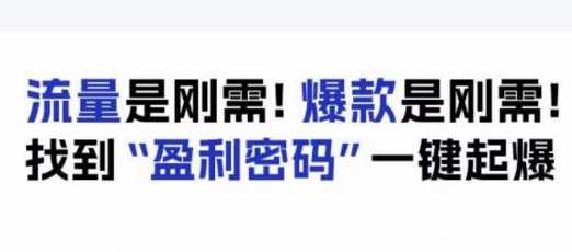 电商盈利精品课：6大盈利密码让产品更好卖，流量是刚需！爆款是刚需！找到”盈利密码”一键起爆，电商盈利密码揭秘，6大盈利秘诀助力产品热销,艺术,电商,竞争,电子商务,第1张