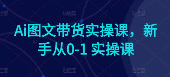 Ai图文带货实操课，新手从0-1 实操课，AI图文智能带货实战班，新手入门，从零到一全面实操,艺术,竞争,人工智能,课程,第1张